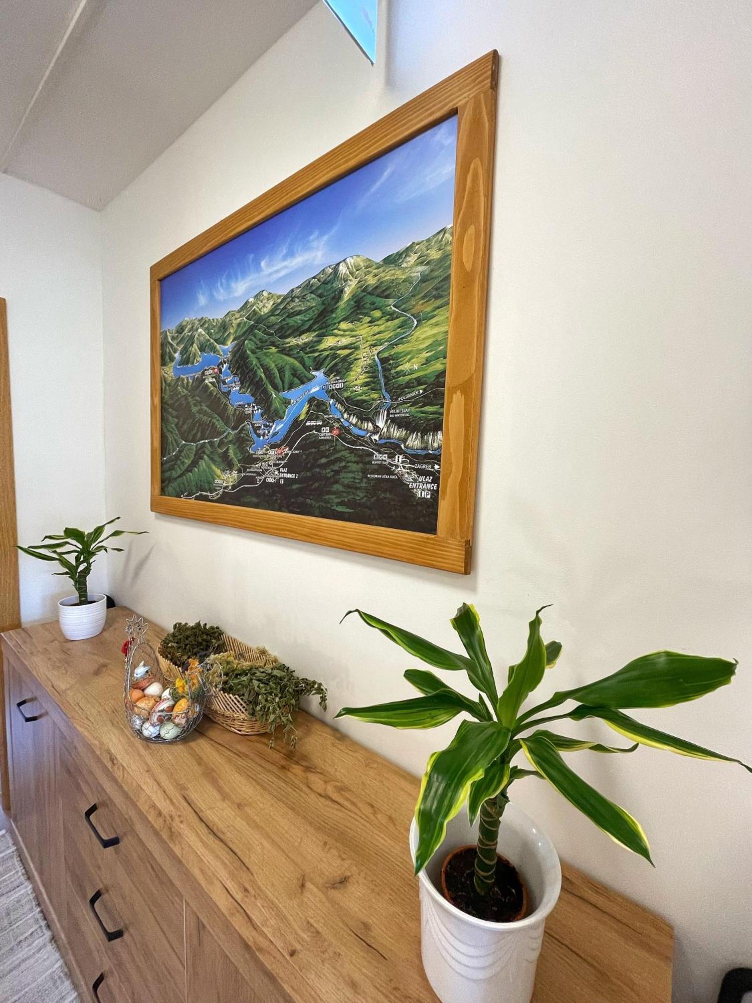 Guest House Ivica I Marica In Heart Of The National Park Plitvicka Jezera 普利特维采村 外观 照片